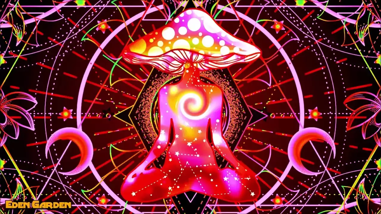 מסע מוזיקלי דרך ממלכות פסיכדליות